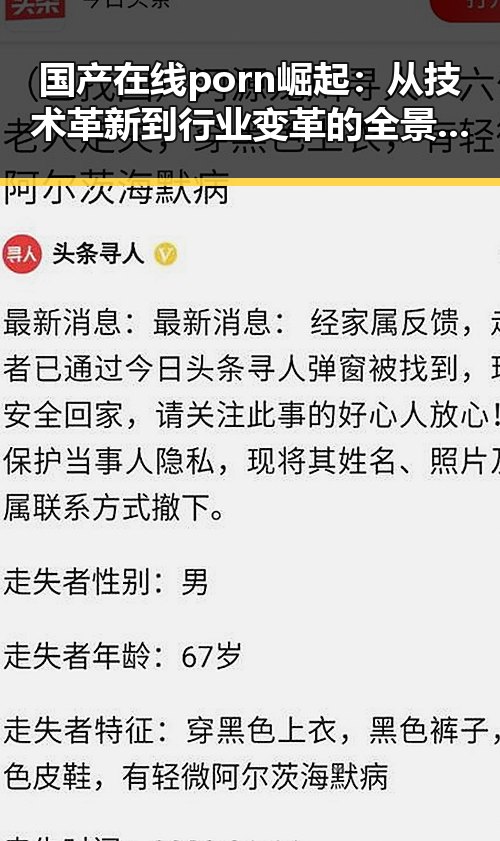 国产在线porn崛起：从技术革新到行业变革的全景回顾