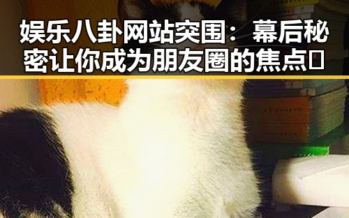 娱乐八卦网站突围：幕后秘密让你成为朋友圈的焦点🔥