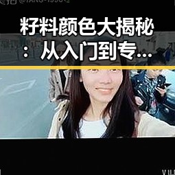 籽料颜色大揭秘：从入门到专家的逐步认知之路